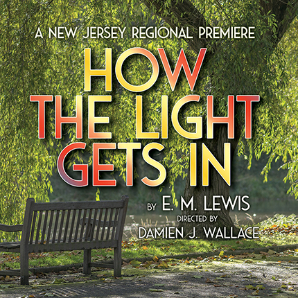 How The Light Gets In by E. M. Lewis