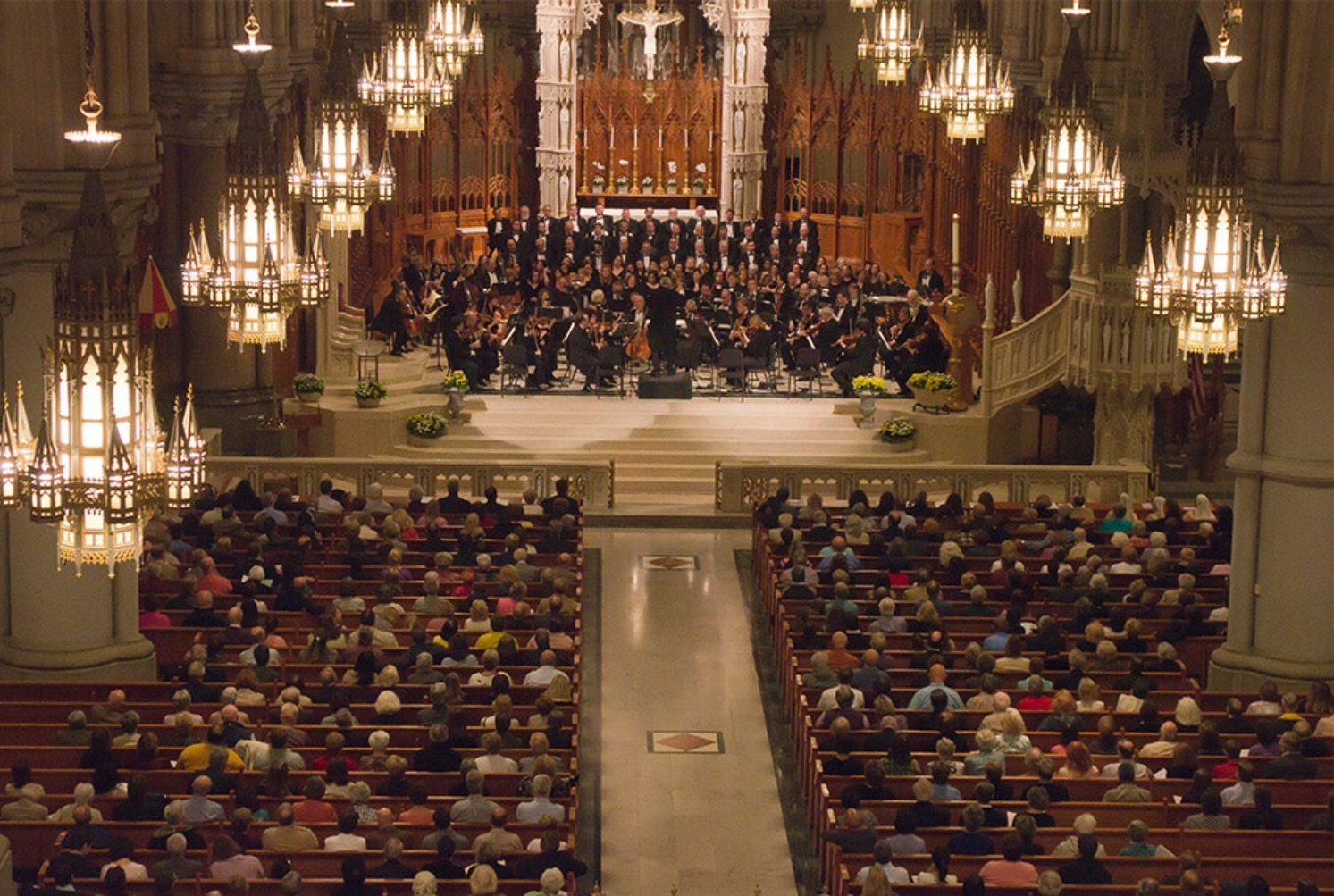Haydn’s Creation