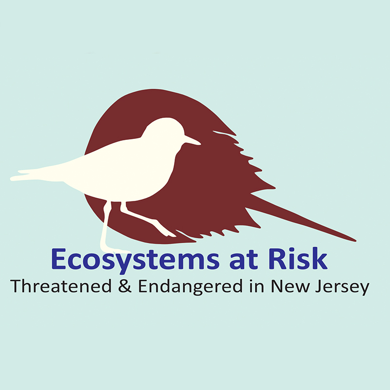 Ecosystems at Risk