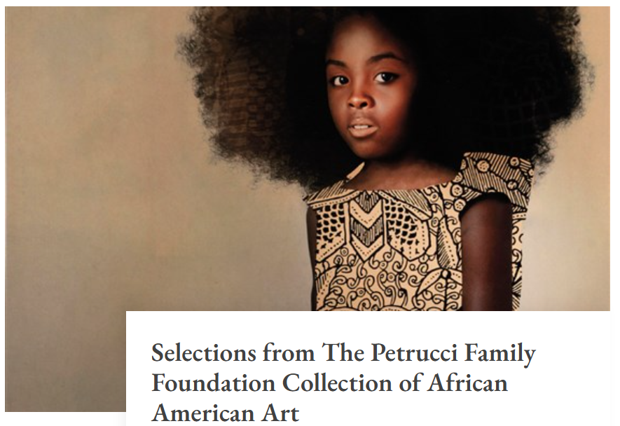 Selections from The Petrucci Family Foundation Collection of African American Art