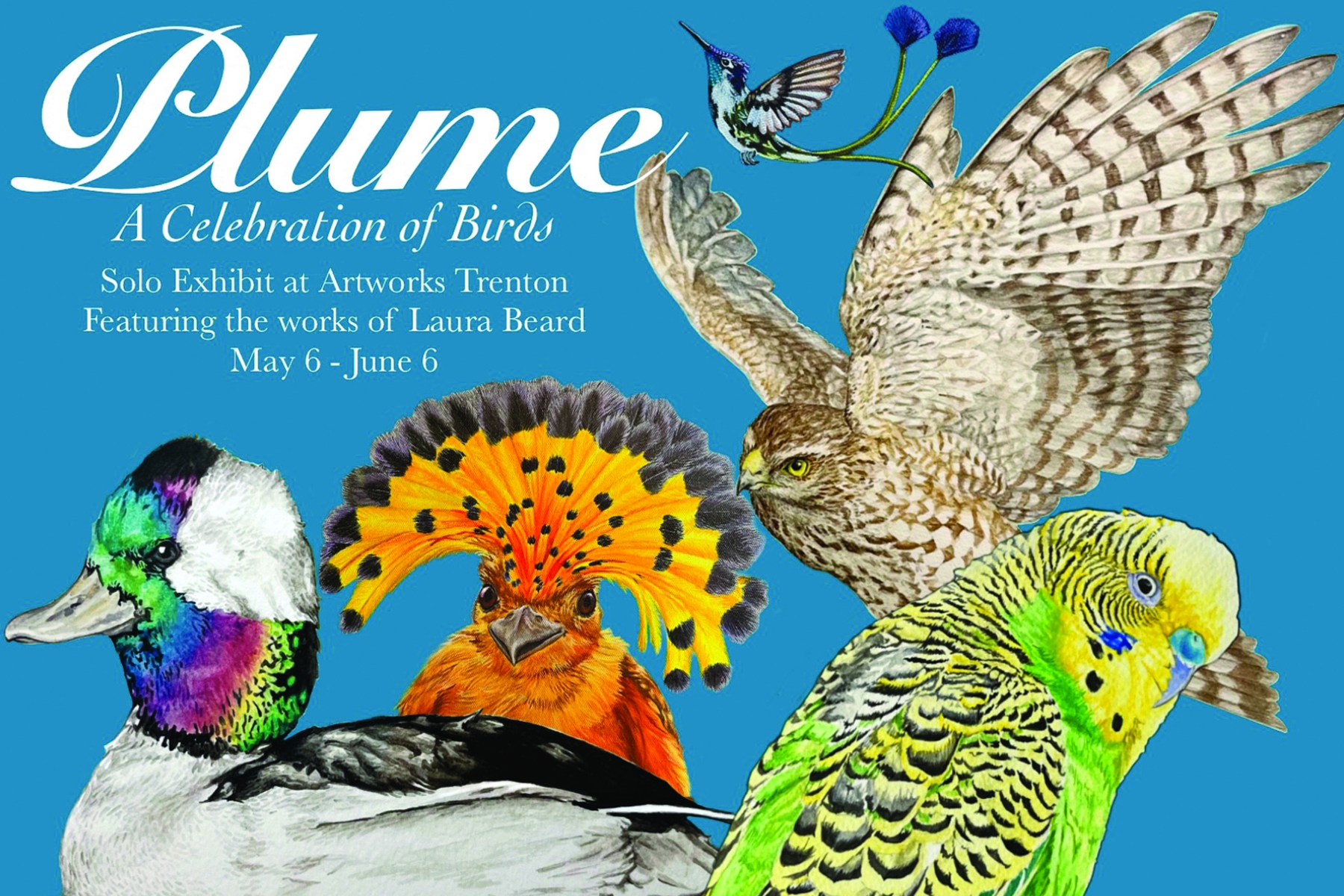 Plume: A Celebration of Birds