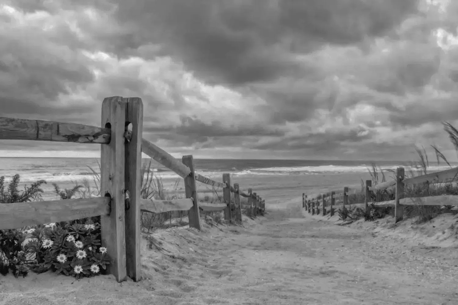 Photo of a beach walkway with a fence, grass, and a view of the ocean and clouds above