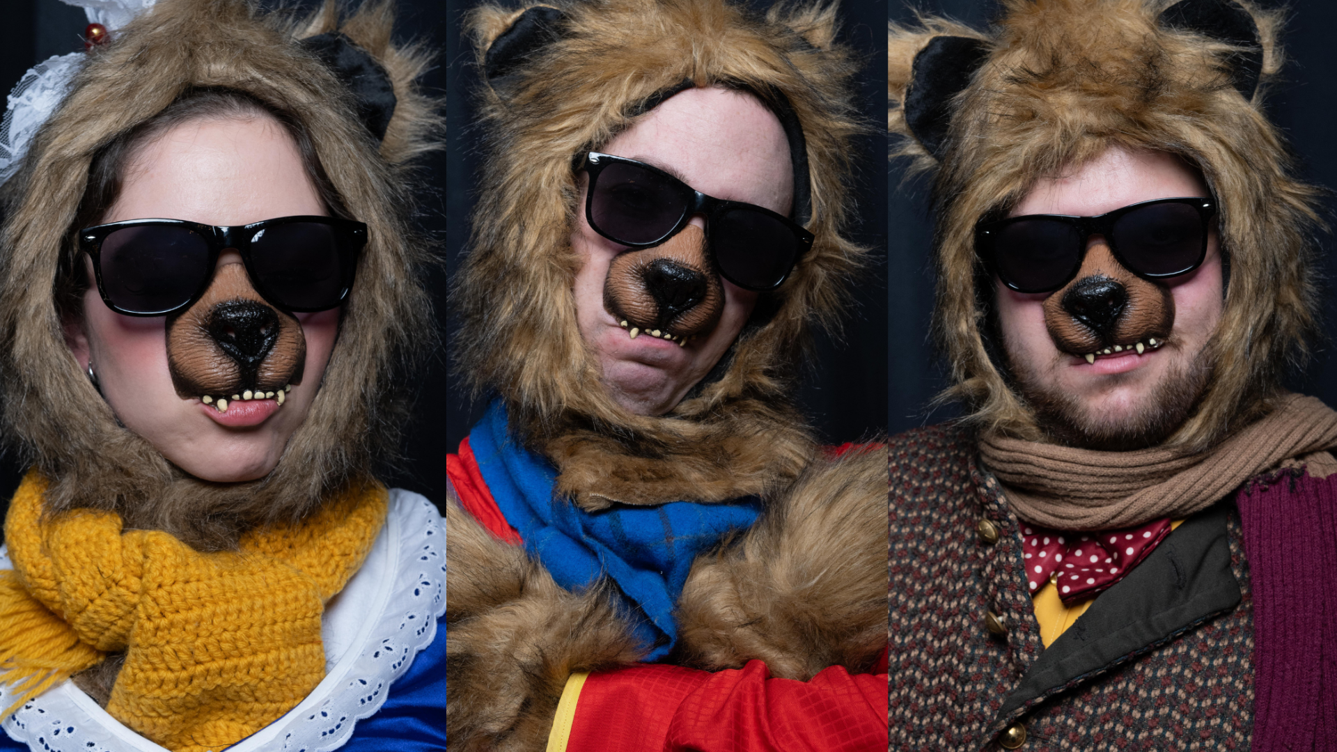 Goldilocks three bears