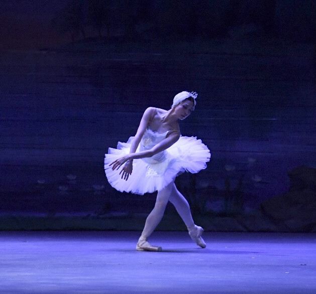 Swan Lake Se Hyun Jin