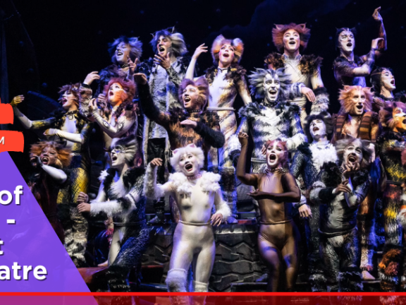 JerseyArts header imager for CATS