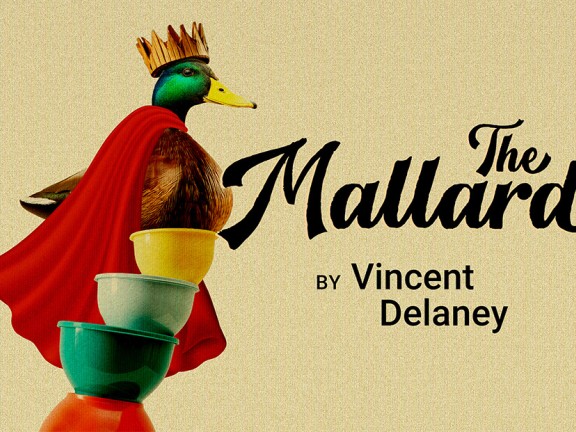 A mallard duck, wearing a crown and cape, is on top of a teetering pile of tupperware