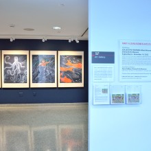 n art gallery with four paintings on the wall depicting women, mermaids, and an octopus.