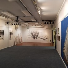 Art on gallery walls of the Puffin Cultural Forum