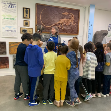 A group of children standing around a teacher in a museum.