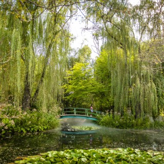 The Monet Bridge at Grounds For Sculpture, surrounded by lush greenery and water lilies in the pond.