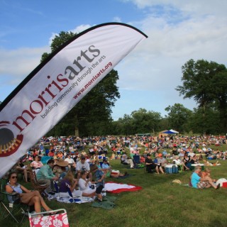 Crowd of people at an outdoor music festival