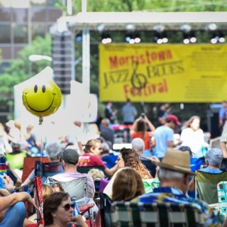 A group of people sitting in lawn chairs at an outdoor concert