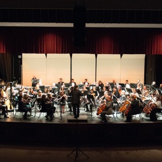 A performance by the Livington Symphony Orchestra