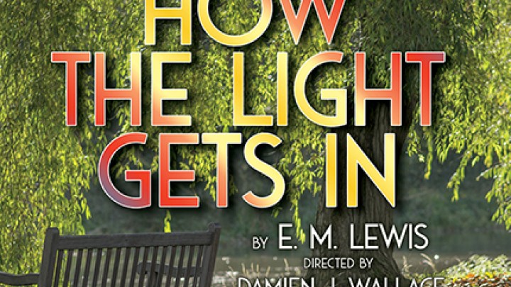 How The Light Gets In by E. M. Lewis