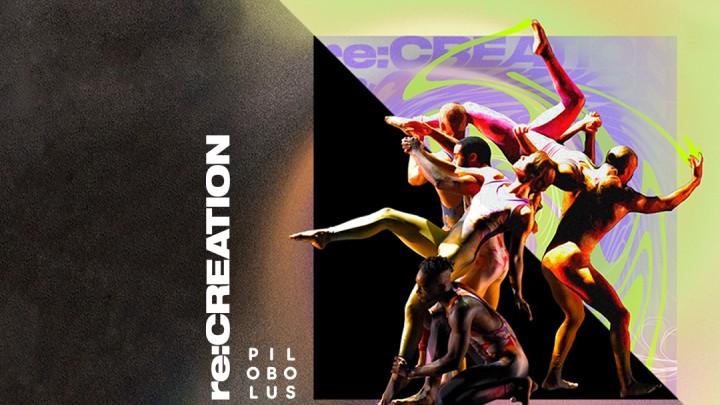 Pilobolus re:CREATION