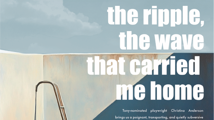 the ripple the wave that carried me home poster