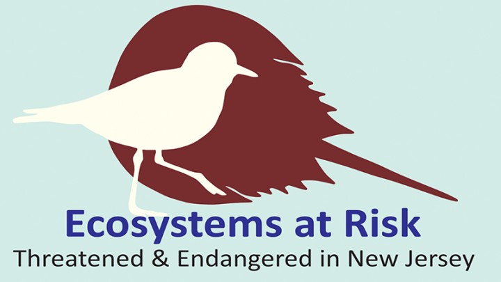 Ecosystems at Risk