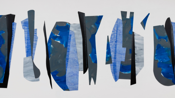 Nanette Carter Shifting Perspectives