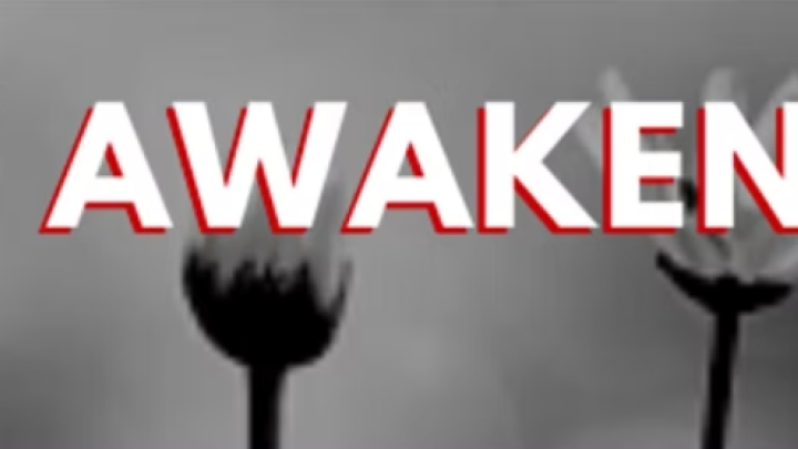 Spring Awakening