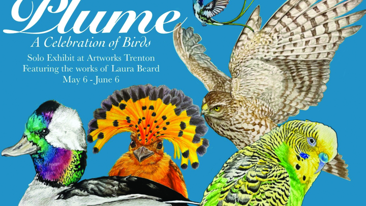 Plume: A Celebration of Birds