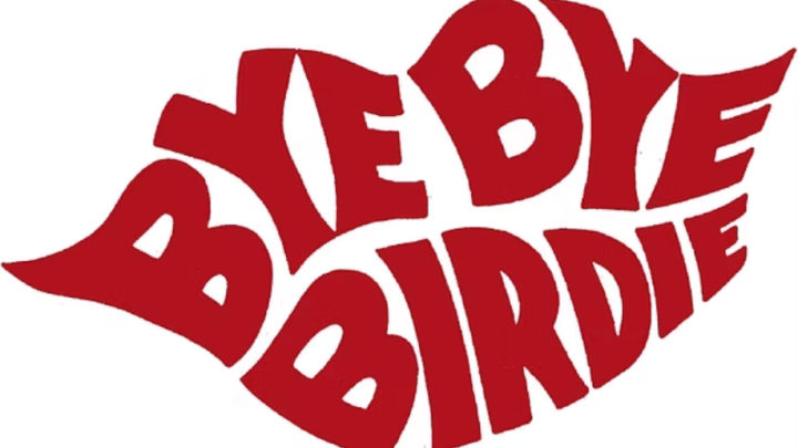 Bye Bye Birdie hero image