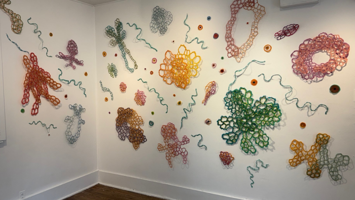 Pulp at Hunterdon Art Museum