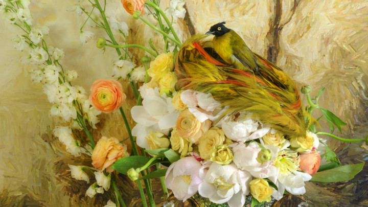 JP Terlizzi: Remembering Eden