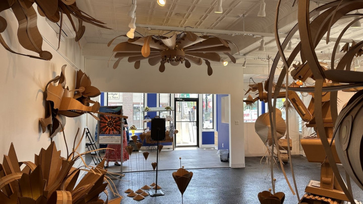 Cardboard Show in Dunellen
