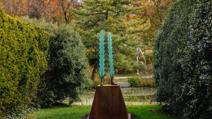 Art Encounters: Featured Work | Artist Salvador Jiménez-Flores