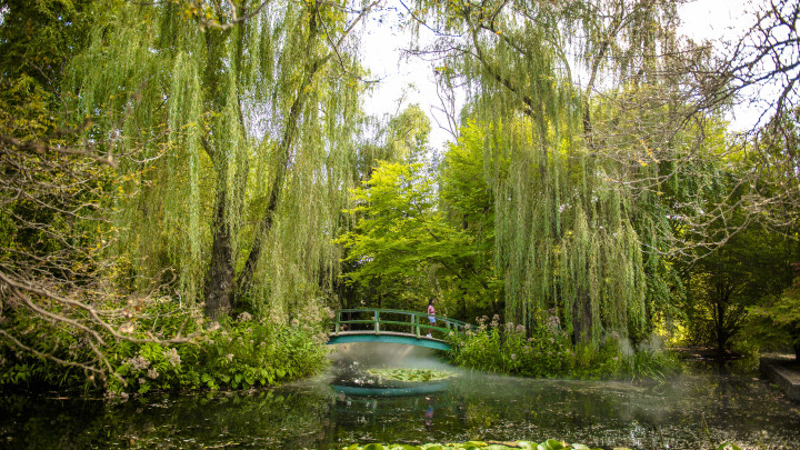 Grounds for Sculpture