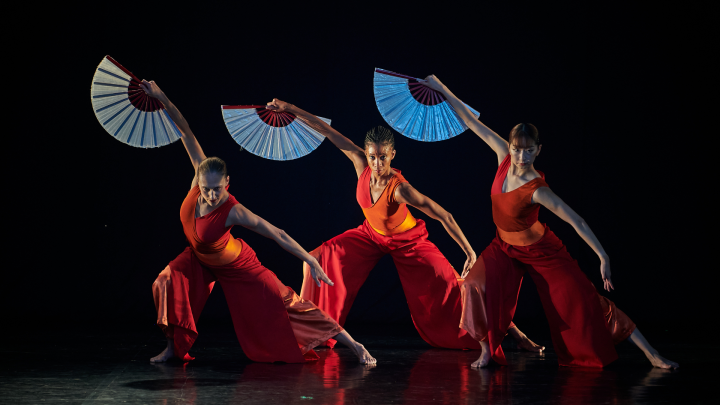 Nai Ni Chen Dancers