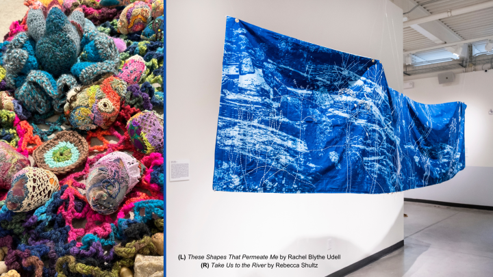 Colorful artwork hanging in a gallery
