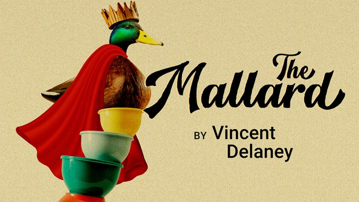 A mallard duck, wearing a crown and cape, is on top of a teetering pile of tupperware
