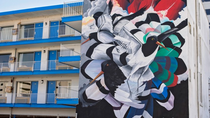 a mural of black and white birds on the side of a beachfront motel